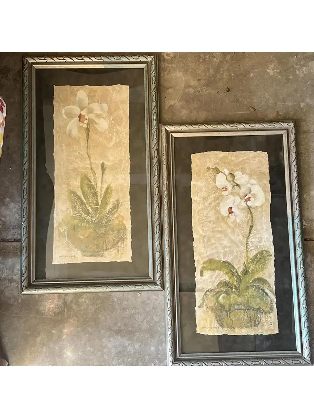 Framed Botanical Orchid Prints
